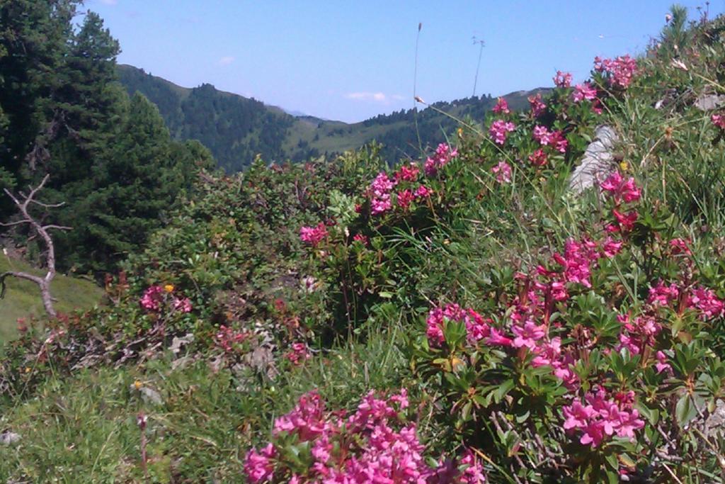 Gaestehaus Die Geislerin Gerlos Εξωτερικό φωτογραφία